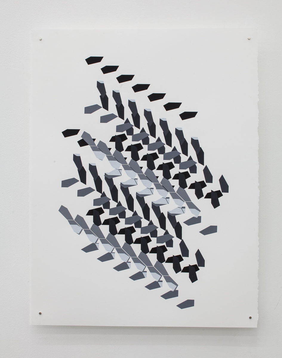 Jan Tichy, Type 15  ,2015, Screen print, acrylic on paper, 74x57 cm