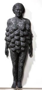 M Shanthamani, Charcoal