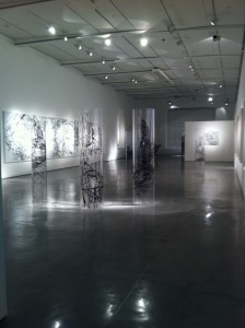 קו-מיתר , דניאלה שינמן 2013