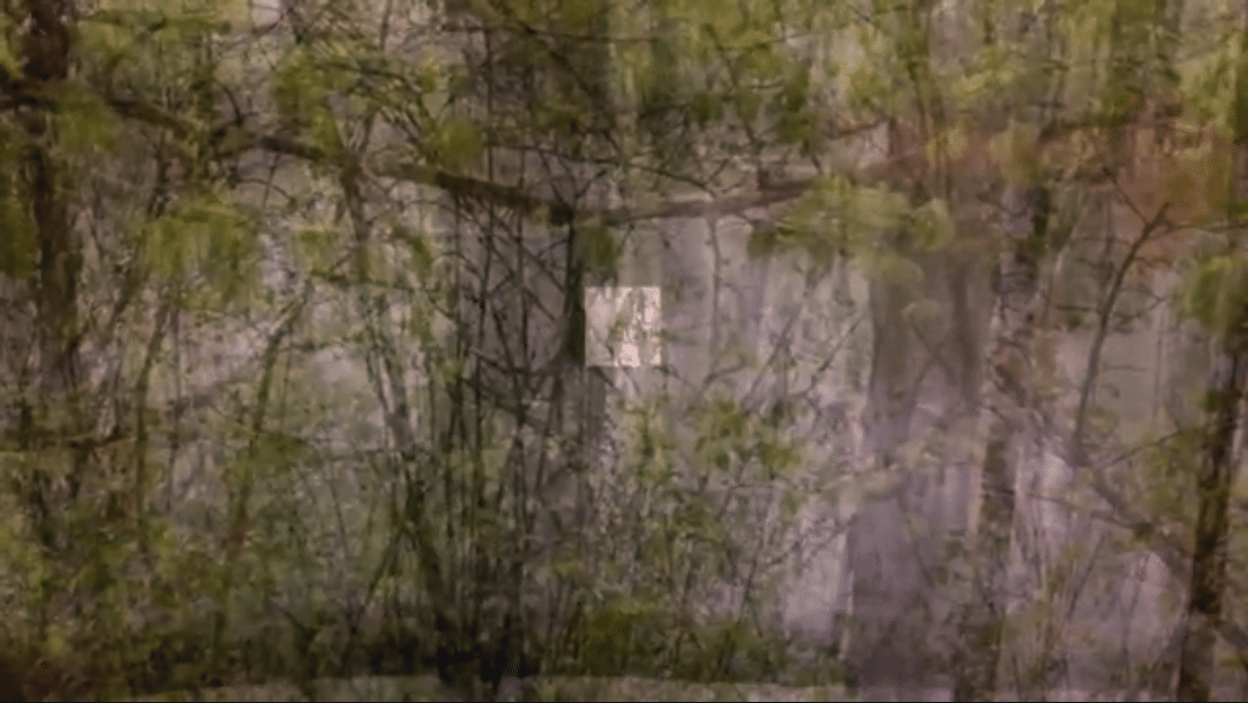 Tali Navon,double landscape 2015 4.15 min. loop
